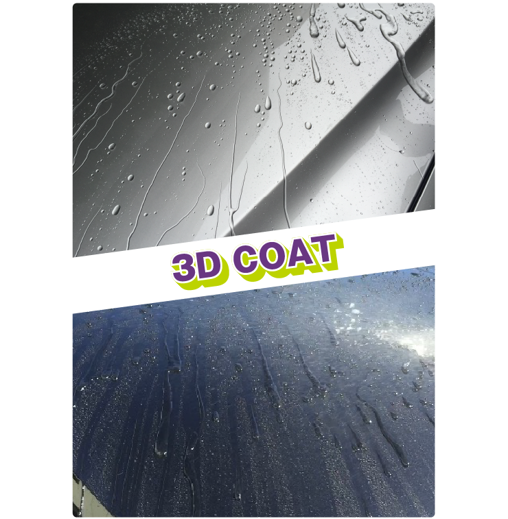3D COAT