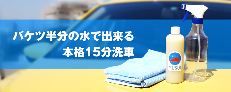 カンタン本格洗車15分洗車